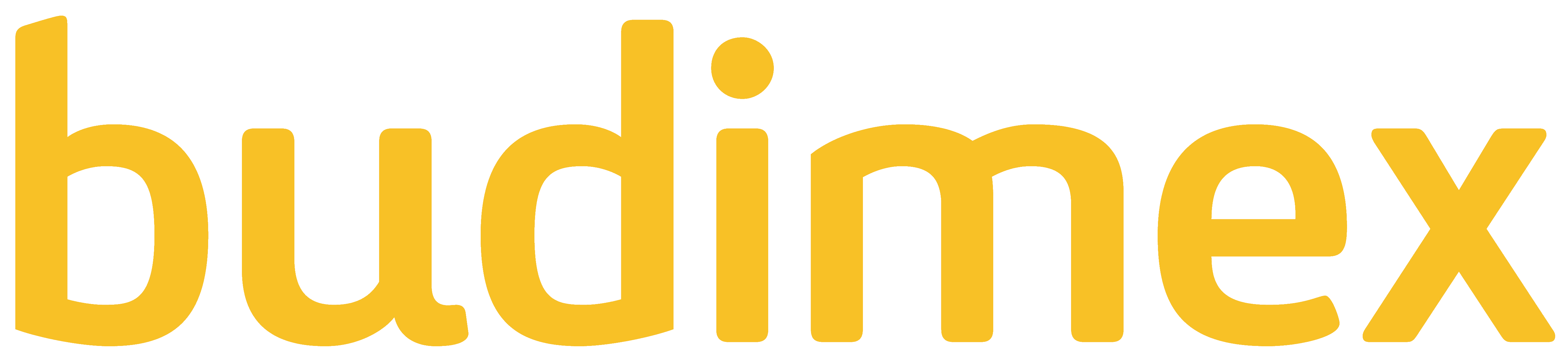 Logo Budimex